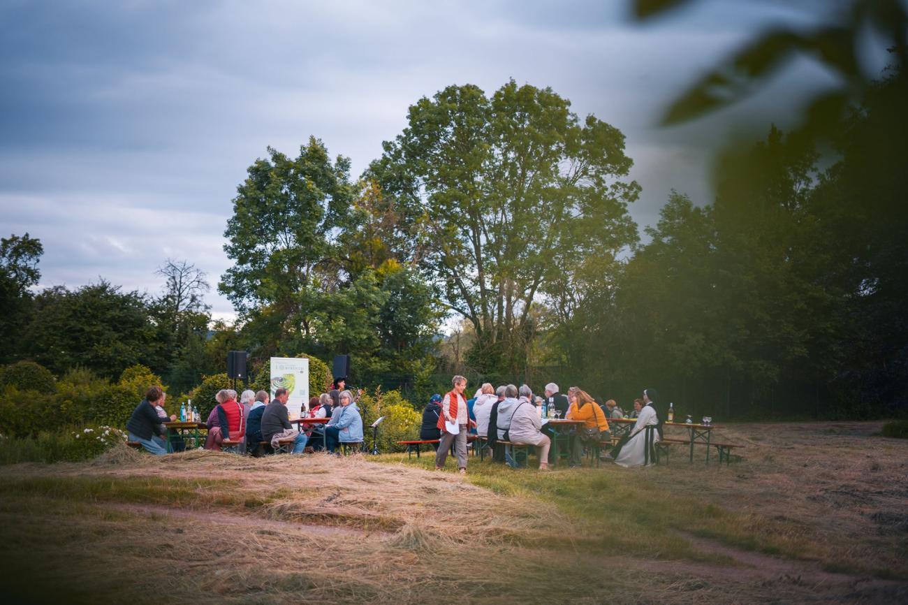 Frauen bei einem Open Air Konzert